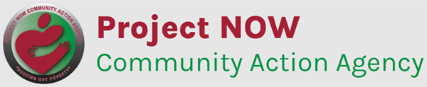 Project Now logo