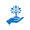 Head Start Development