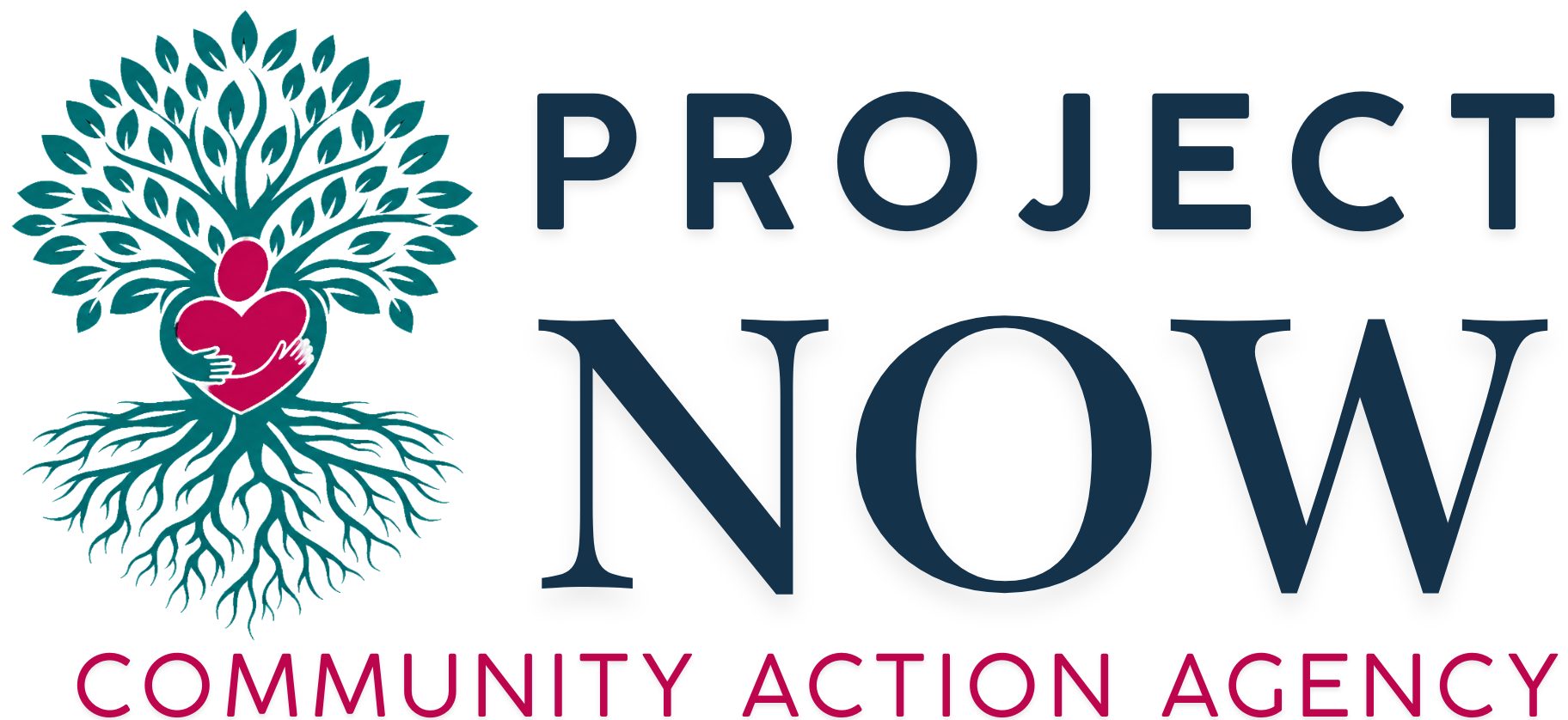 Project NOW